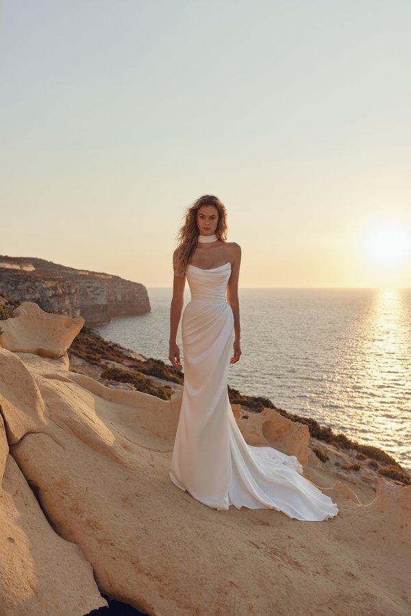 ANNA-image-1